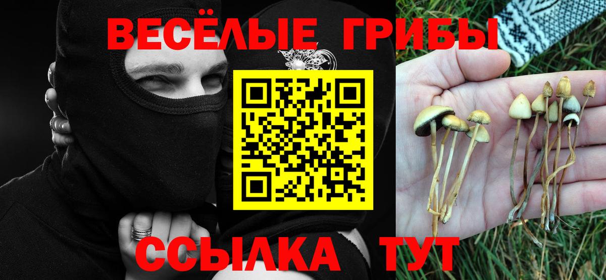 Псилоцибиновые грибы мухоморы Сланцы
