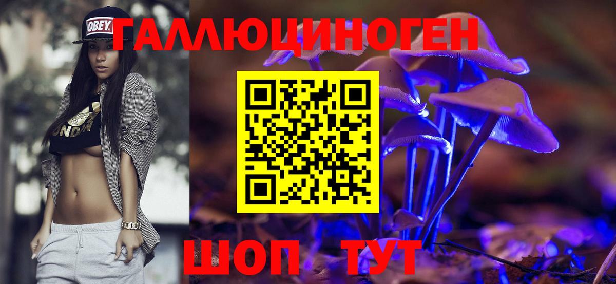 Сланцы  Псилоцибиновые грибы MAGIC MUSHROOMS  Вход с VPN 